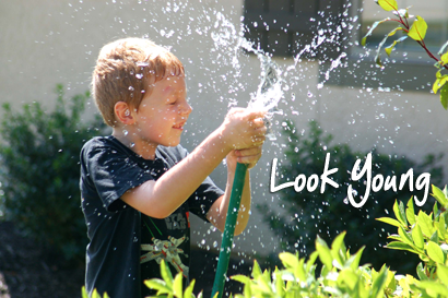 Look-Young