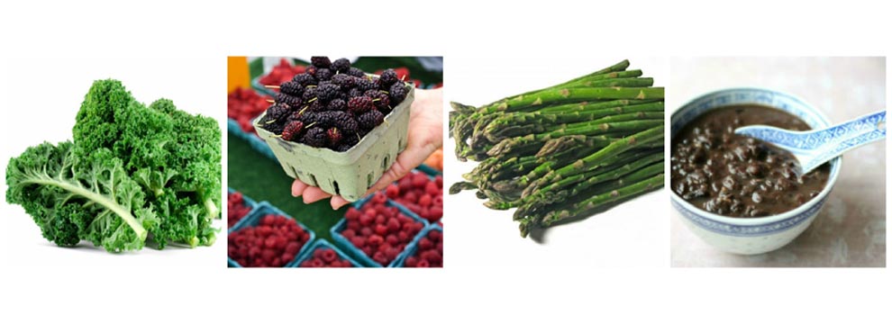 Prebiotic versus Probiotic