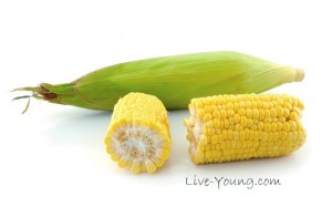 Corn on a white background
